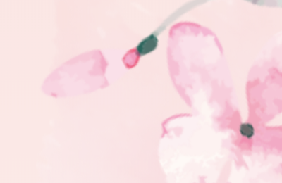 春风如你，熠熠生辉|健和基金祝所有女性节日快乐